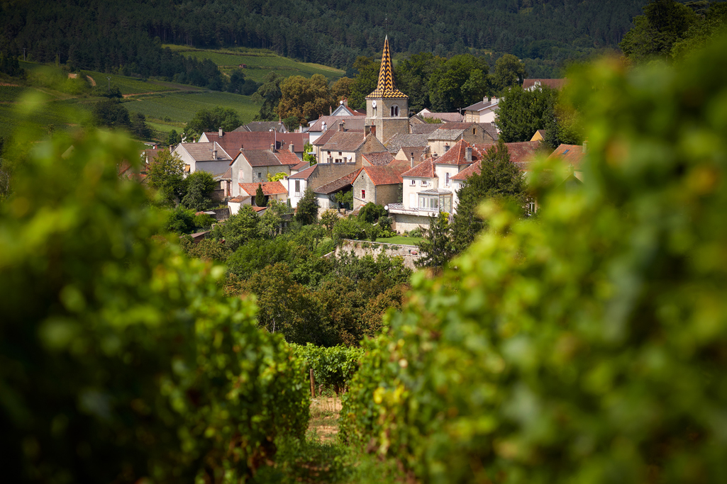 Laleure-Piot : Grands vins de Bourgogne